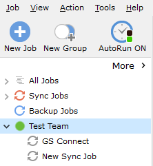 GoodSync 10 Job Group