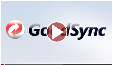 GoodSync Informational Video
