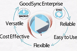 GoodSync Informational Video