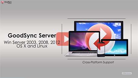 GoodSync Informational Video