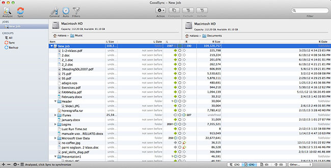 GoodSync for Mac 12.6.4 full